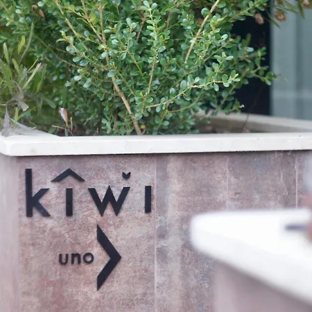 Kiwi * לטינה